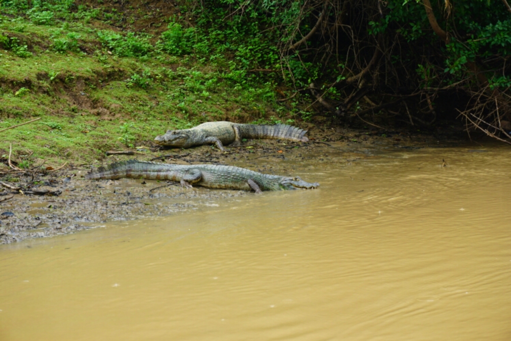 Skin to skin with the&nbsp;Pampas